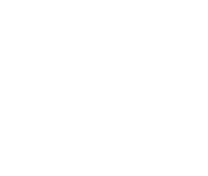 Default Template Preview Logo