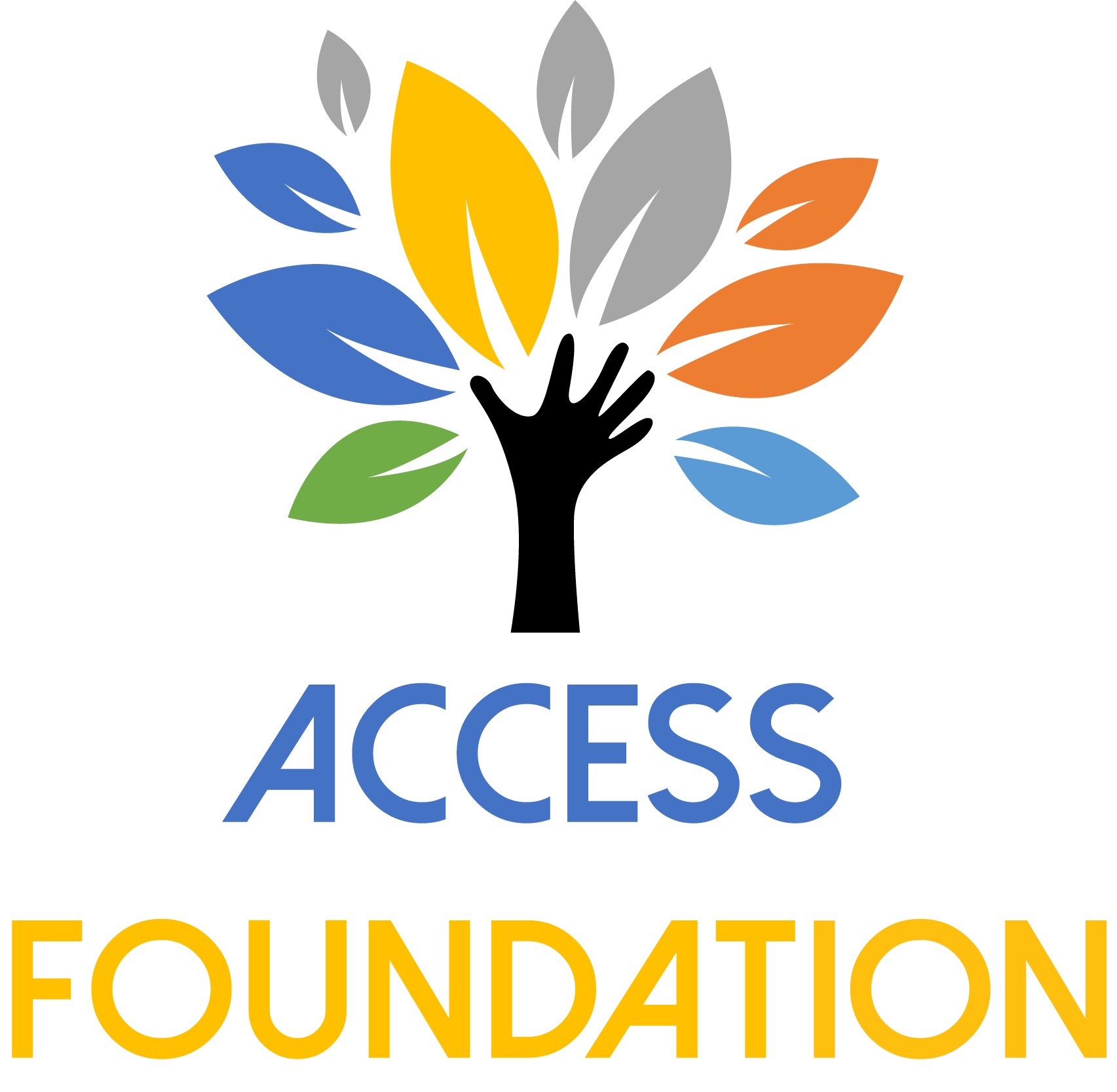 Access Foundation Corp banner