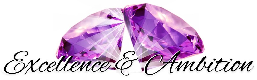 Excellence & Ambition Inc banner