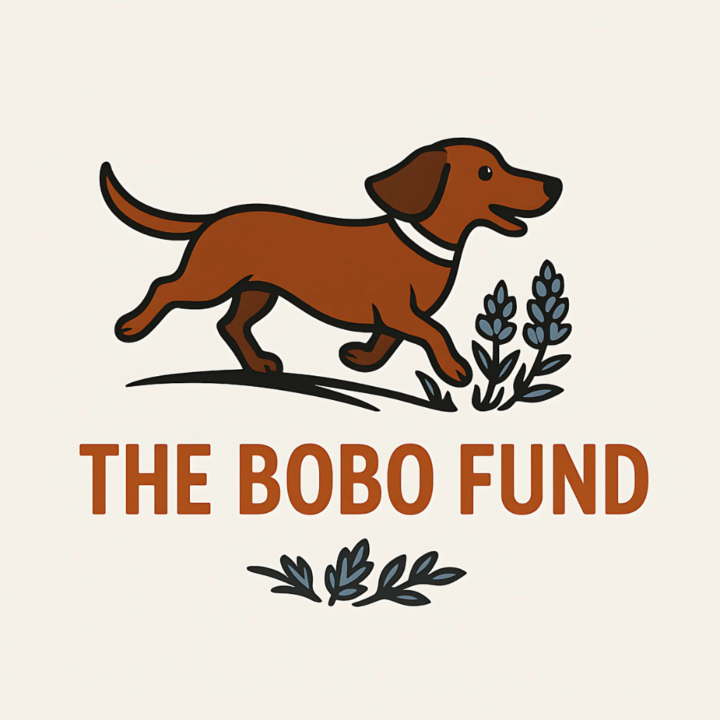 The Bobo Fund banner
