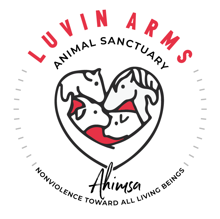 Luvin Arms Animal Sanctuary banner