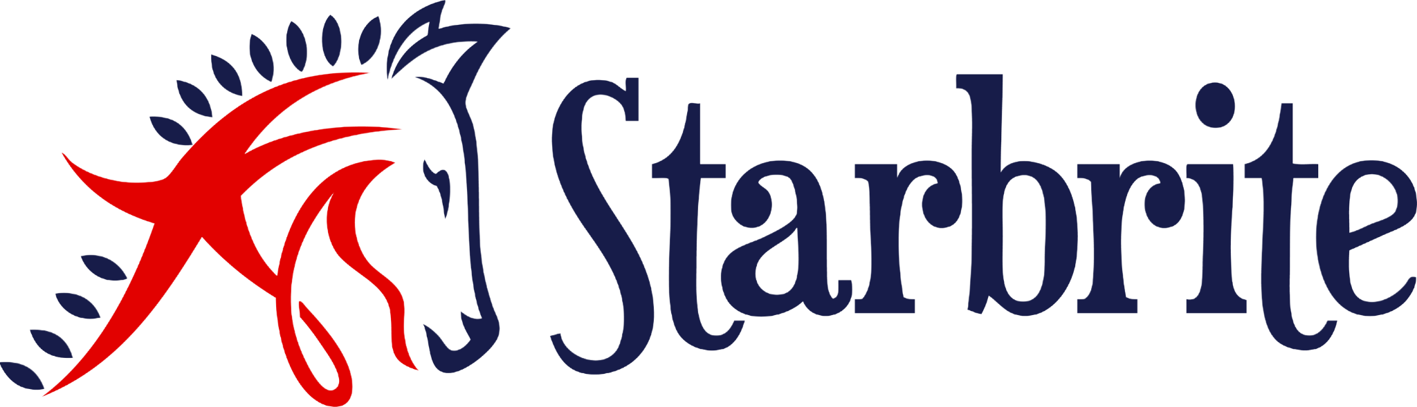 Starbrite Therapeutic Equestrian Center banner