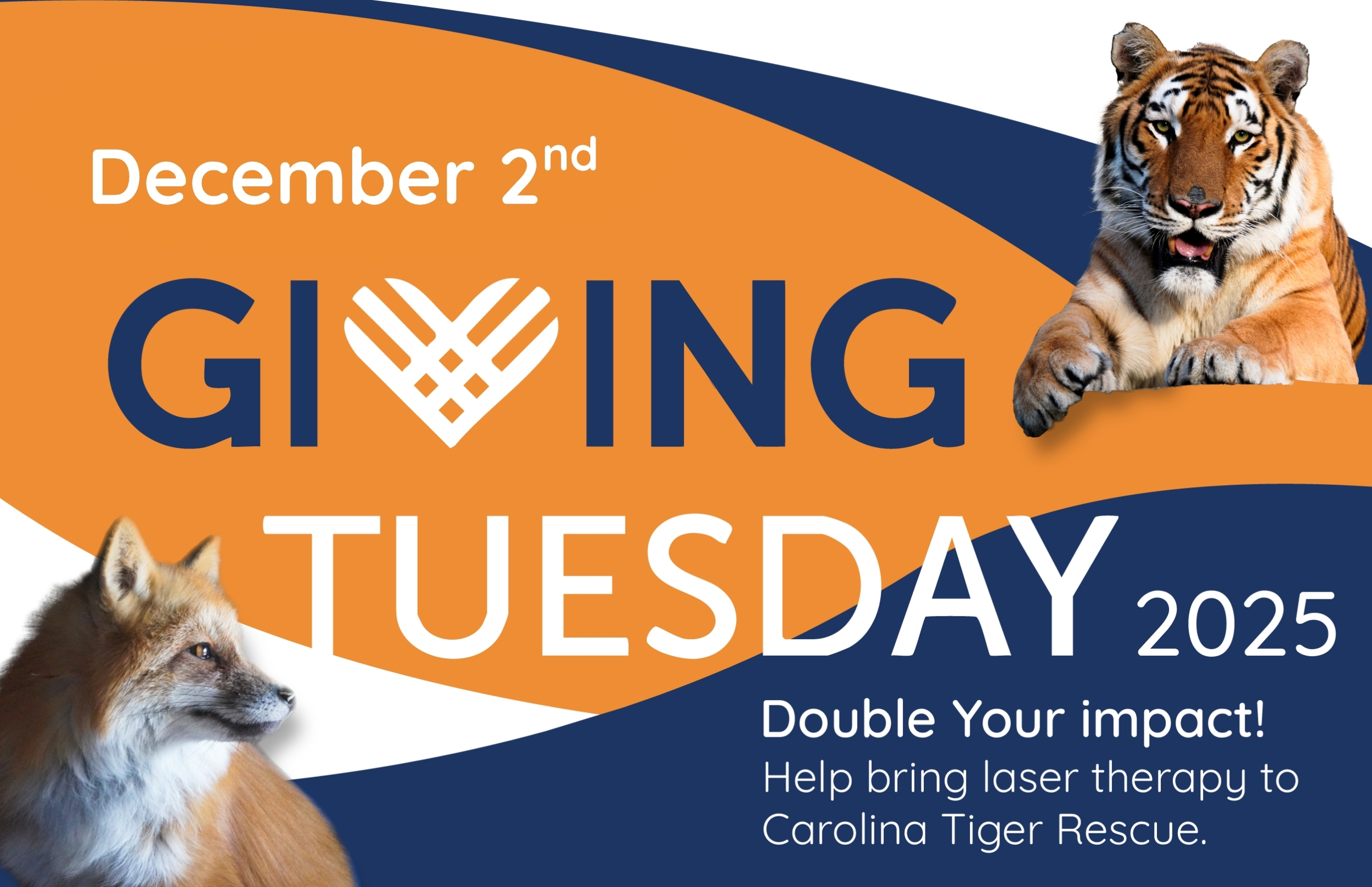 Carolina Tiger Rescue